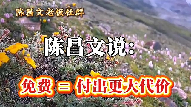 免费 = 付出更大代价