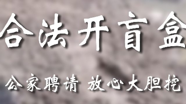 这可是专业合法开盲盒团队
