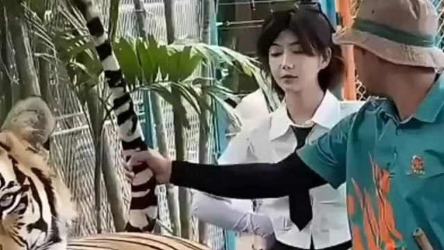 老虎：一想到过会我要干什么，我就想笑