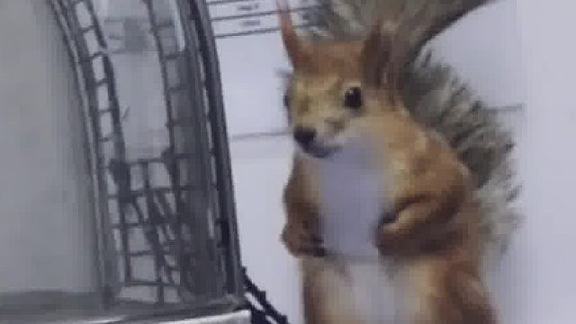 看你下次还作不