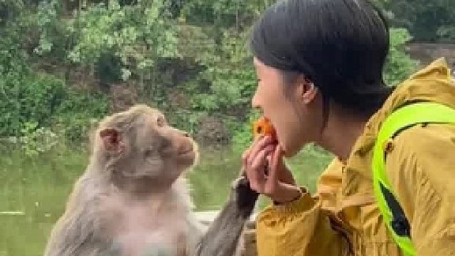 猴哥想尝尝我的水果