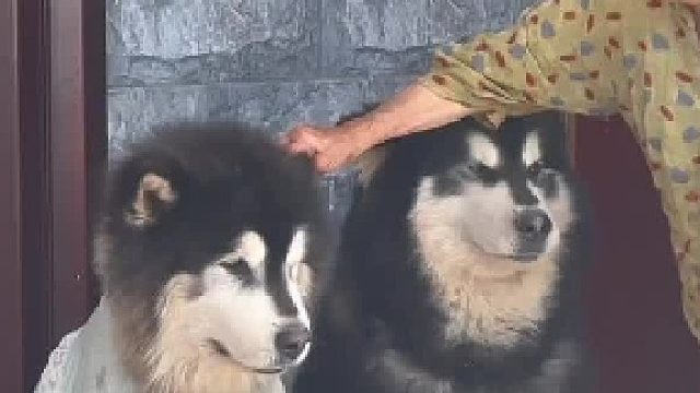 像极了小时候外婆给我洗脸的样子！！