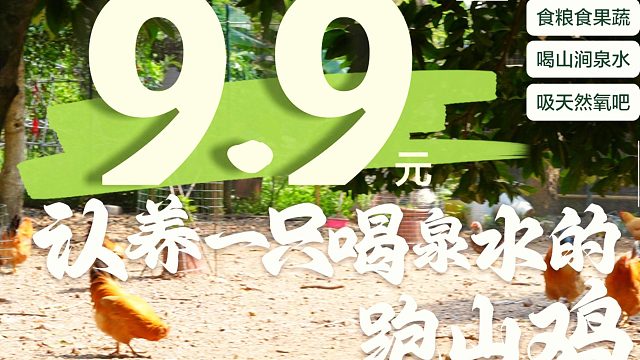 9.9元认养纯天然正宗跑山鸡