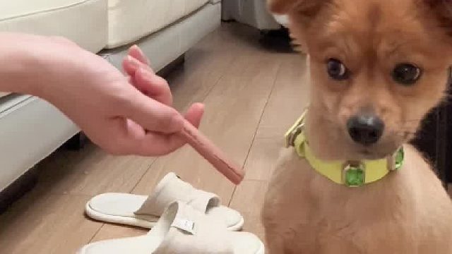 脑子和嘴巴在打架