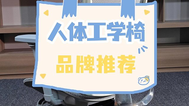 十大公认最好的人体工学椅：爆单佳品无广测评