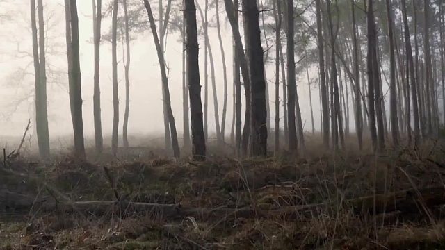 成功呈概率分布，关键是你能不能坚持到成功开始呈现的那一刻。
