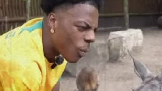 甲亢哥：我觉得袋鼠不危险