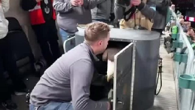 这操作可真是太妙了