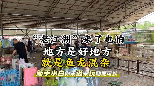 这地方“老江湖”来都得注意，新手小白慎重入手，信不信由你！