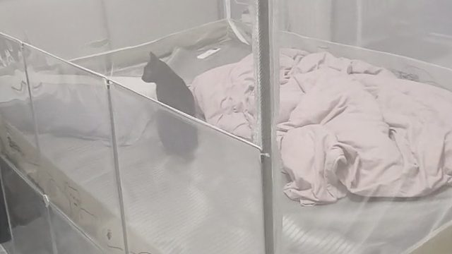 崩溃了，他咋进去了呀