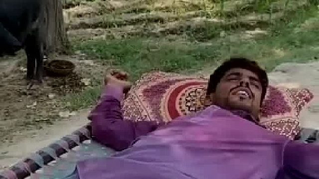 三哥生活无人敢模仿，竟拿眼镜蛇当宠物，不愧是亚洲狠人！