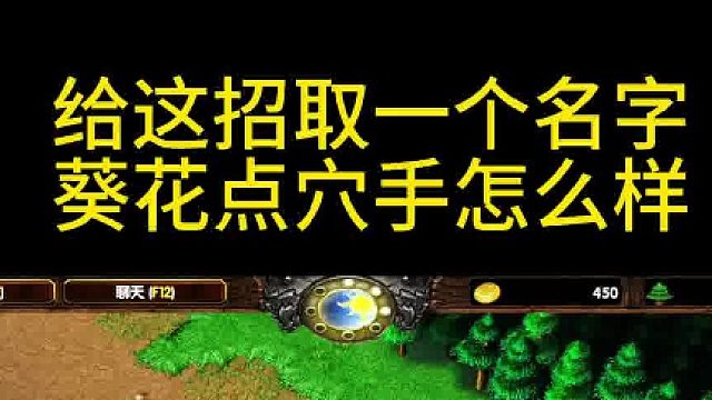 魔兽争霸3之葵花点穴手