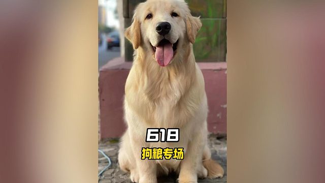 只要选对狗粮，就不会让它瘦成皮包骨