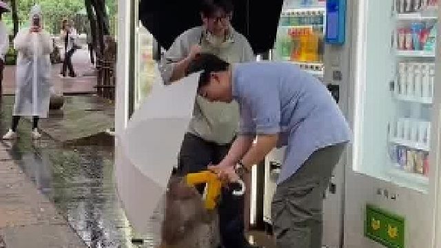 黔灵山猴子到底有多危险️