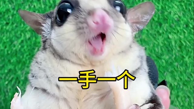 对我我来说有点少，对于它来说刚好