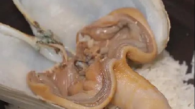 这个大货你们认识吗？