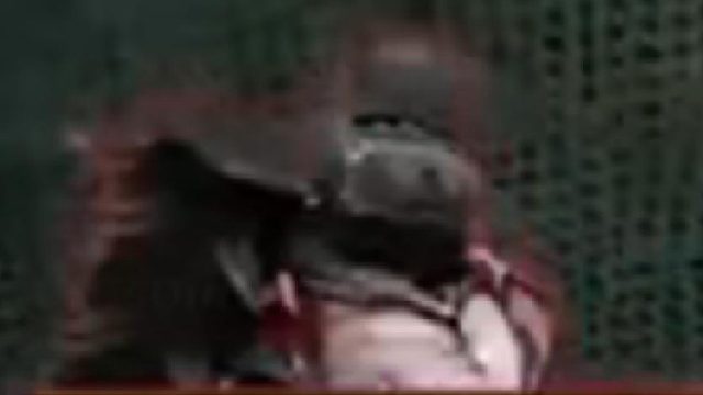 【CSOL】一个视频证明我跟紫胖的羁绊以及我对它的了解有多深