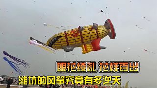 濰坊的風(fēng)箏究竟有多逆天