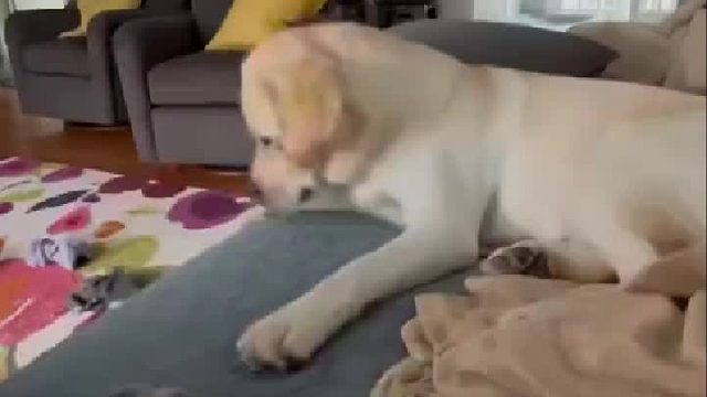 怎么你还急了呢