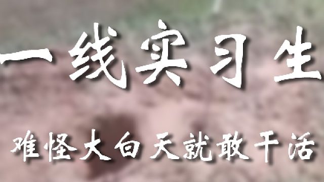 这实习够硬核的