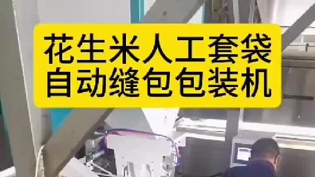 花生米人工套袋自动缝包包装机