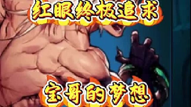 宝哥的终极追求