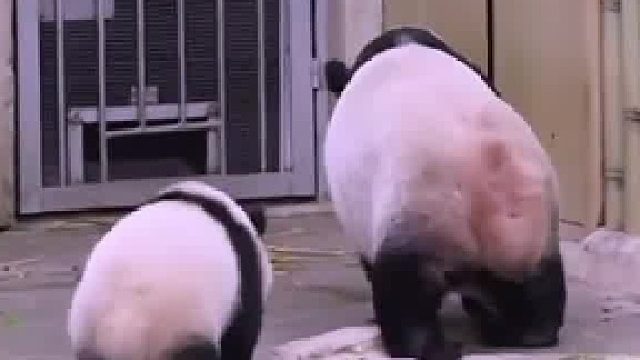 三妹偷袭妈妈，打完就跑，还躲起来偷笑