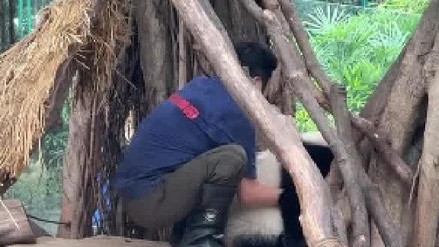 下午雨 收三妹儿全过程 抓紧不回家