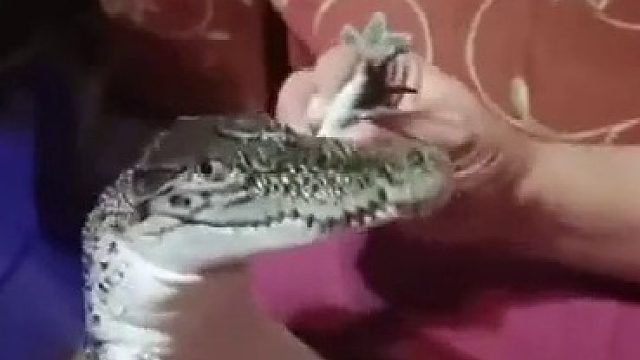 你等我长大着！