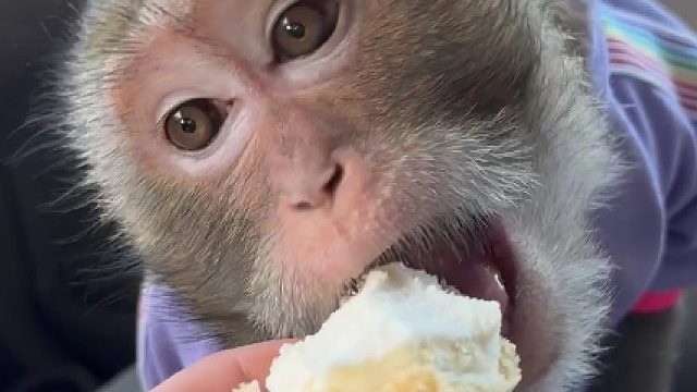 这冰淇淋有点烫嘴