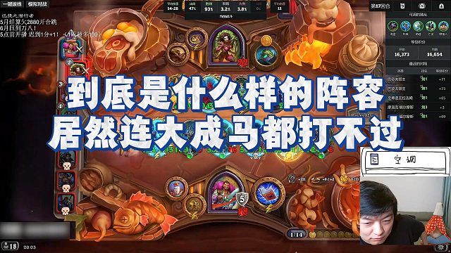 【瓦莉拉】到底是什么样的阵容？居然连大成马都打不过