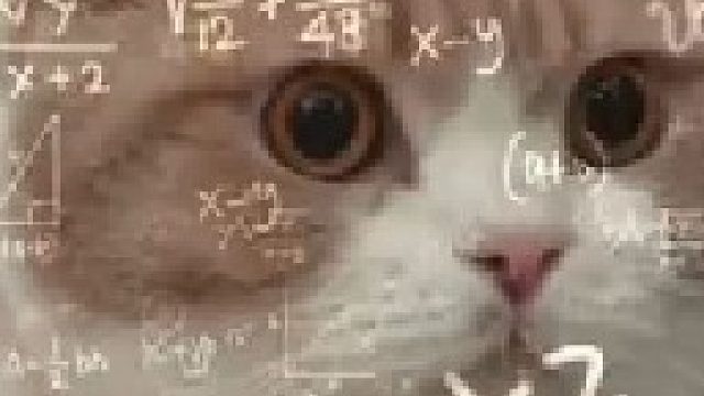 现在好了，直接不能播了