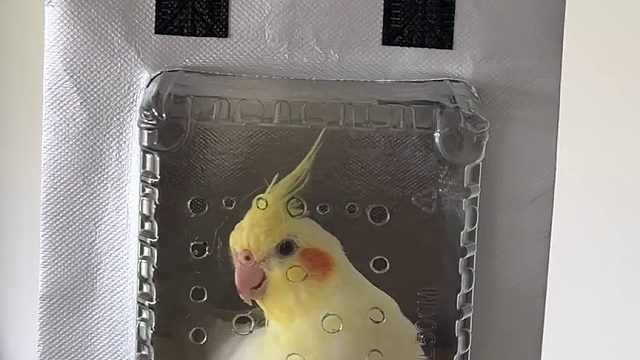 也是省了几十块钱了