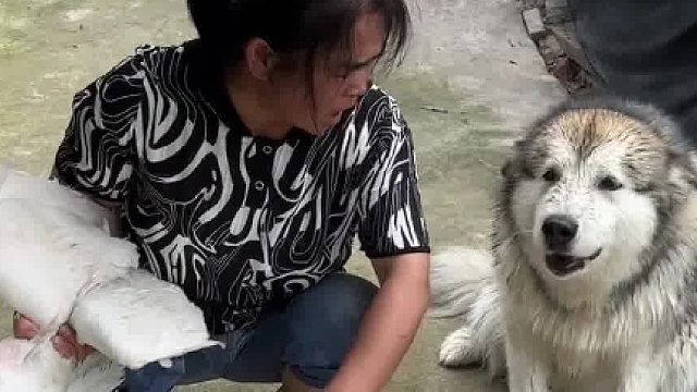 鹅：你还怪好的，下次再吃我