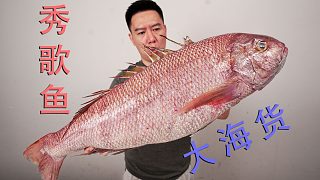 幾十斤的大海貨秀歌魚，輕松拿捏