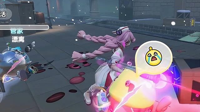 傻蛋短暂的陪伴成了我永久的回忆