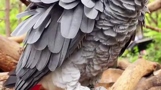 真是酣畅淋漓呀