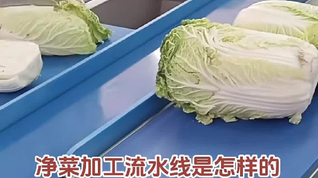 净菜加工生产线生菜清洗设备毛豆漂烫杀青机玉米清洗加工流水线