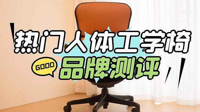 人体工学椅哪个牌子护腰效果最好？TOP5人体工学椅深度测评与推荐