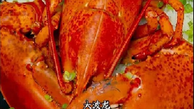 今天有大波龙，大家猜到谁吃了吗？