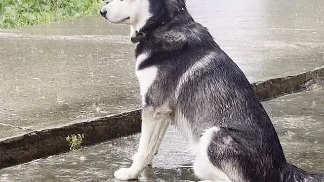 你是有什么伤心事吗？