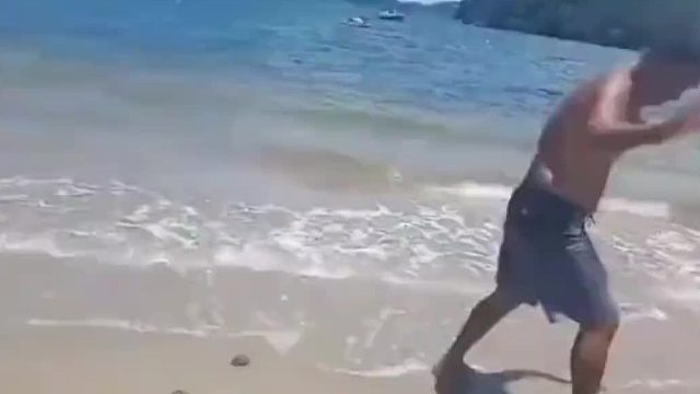 被一只海鸥嘲笑了