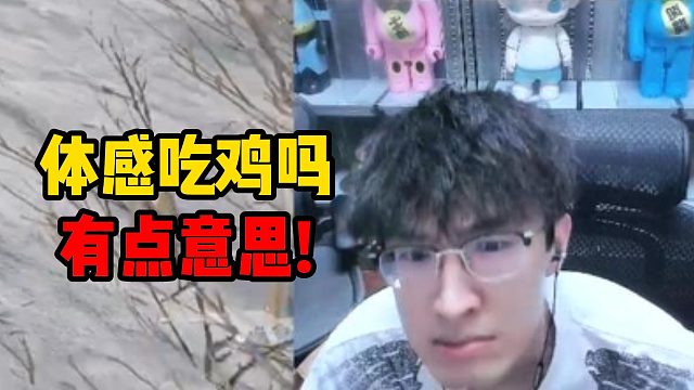 体感吃鸡吗有点意思！