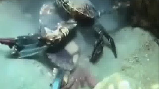 潜水员抓到一只螃蟹，其伴侣拼命保护，网友：生死相依不离不弃