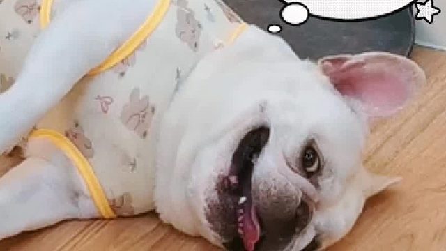 不给它点颜色看看，它能把房顶掀了！