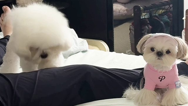 我可没有一口饭是白吃的