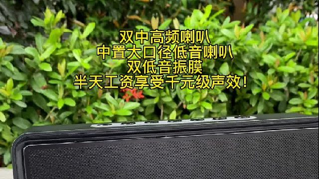 别不信！半天工资就能带回家，2.1声道蓝牙音箱