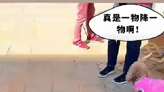 女司機喊大媽牽一下車前的小狗，大媽不聽，女司機放出了自家的大狗