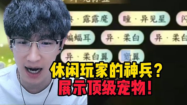 休闲玩家的神兵？展示顶级宠物