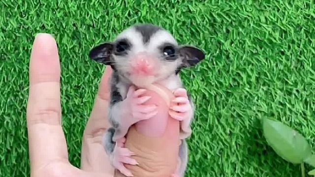 哈哈哈，这眼妆。